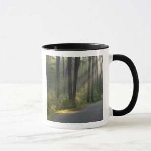 Wilderness Drive, Itasca State Park, Mok