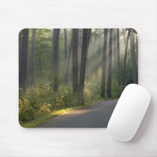 Wilderness Drive, Itasca State Park Muismat (Met muis)