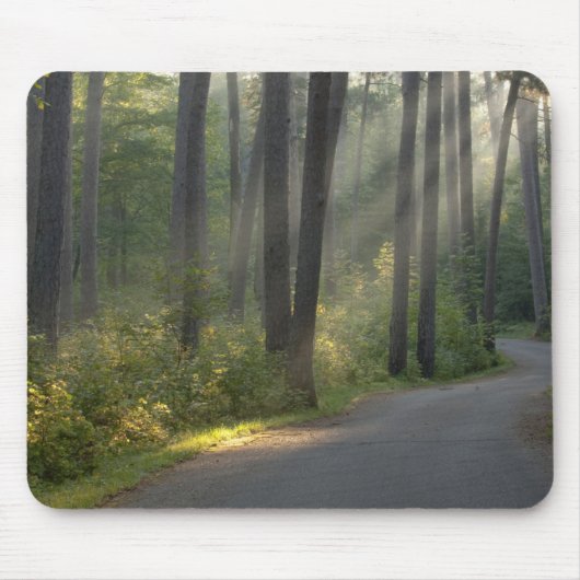 Wilderness Drive, Itasca State Park Muismat (Voorkant)