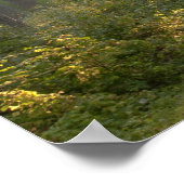 Wilderness Drive, Itasca State Park Poster (Hoek)