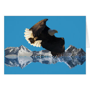 WILDERNESS EAGLE COLLECTIE