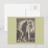 Wilderness Embrace Briefkaart (Voorkant / Achterkant)