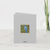 Wilderness Evergreen Blue Jay Bedankkaart (Achterkant)