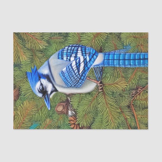Wilderness Evergreen Blue Jay Tissuepapier (Voorkant)