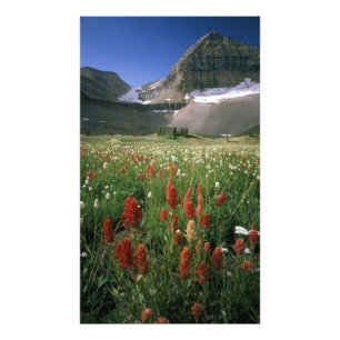 WILDERNESS MOUNT TIMPANOGOS, UT, VS, FOTO AFDRUK
