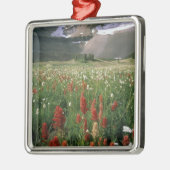 WILDERNESS MOUNT TIMPANOGOS, UT, VS, METALEN ORNAMENT (Links)