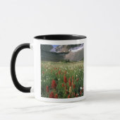 WILDERNESS MOUNT TIMPANOGOS, UT, VS, MOK (Links)