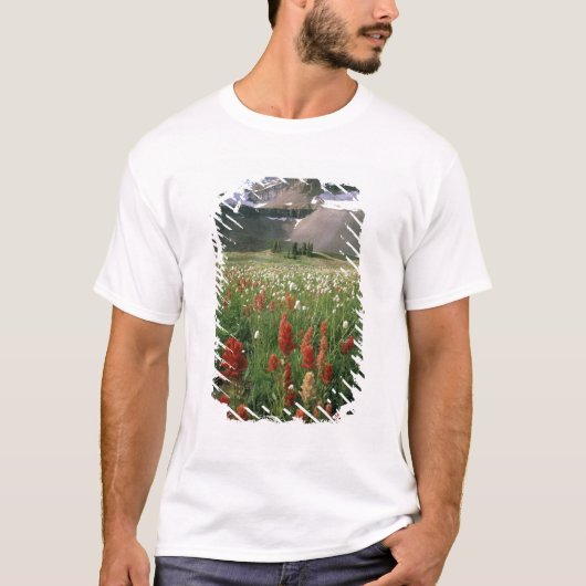 WILDERNESS MOUNT TIMPANOGOS, UT, VS, T-SHIRT (Voorkant)
