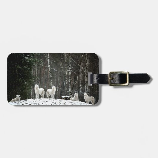 Wilderness Polar Wolf Bagagelabel (Voorkant horizontaal)