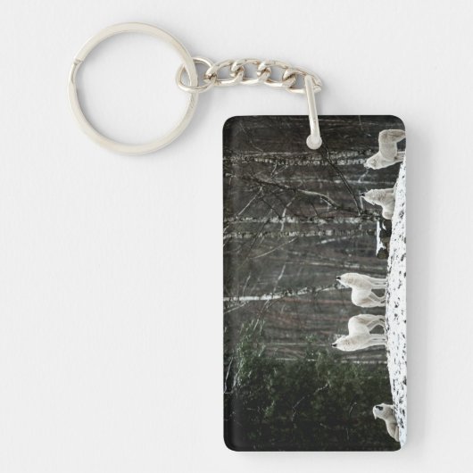 Wilderness Polar Wolf Sleutelhanger (Voorkant)