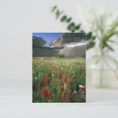 WILDERNESS TIMPANOGOSBERG, UT, VS, BRIEFKAART (Staand voorkant)
