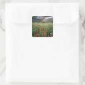 WILDERNESS TIMPANOGOSBERG, UT, VS, VIERKANTE STICKER (Tas)