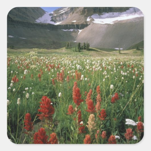 WILDERNESS TIMPANOGOSBERG, UT, VS, VIERKANTE STICKER (Voorkant)