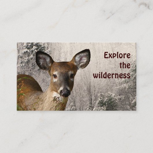 Wilderness Tours Visitekaartje (Voorkant)