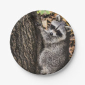 Wilderness Wild Raccoon Papieren Bordje (Voorkant)