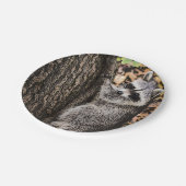 Wilderness Wild Raccoon Papieren Bordje (Gekanteld)