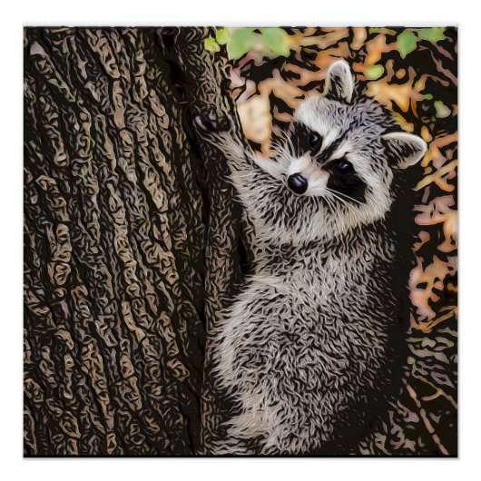 Wilderness Wild Raccoon Perfect Poster (Voorkant)
