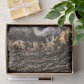 Wilderness Wild Raccoon Tissuepapier (Geschenk)