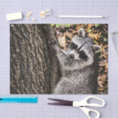 Wilderness Wild Raccoon Tissuepapier (Craft)