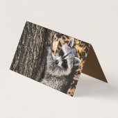 Wilderness Wild Raccoon Visitekaartje (Achterkant)