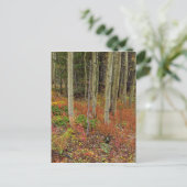 Wilderness Wonderland Briefkaart (Staand voorkant)