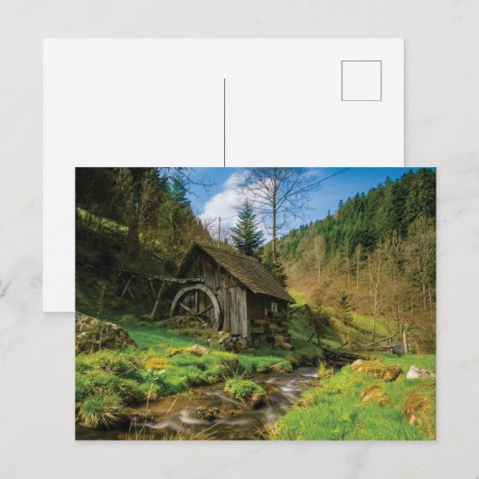 wildernis-waterwiel briefkaart (Voorkant / Achterkant)