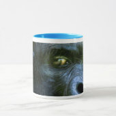 WildEyes - Silverback-Mok Mok (Midden)