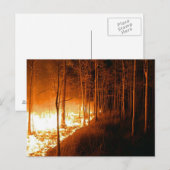 Wildfire Blaze Briefkaart (Voorkant / Achterkant)
