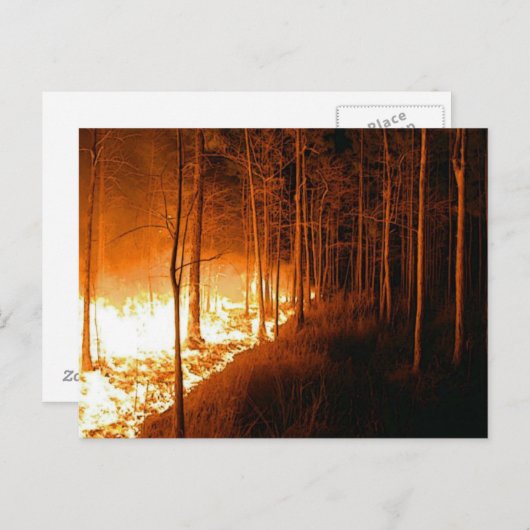 Wildfire Blaze Briefkaart (Voorkant / Achterkant)