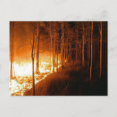 Wildfire Blaze Briefkaart (Voorkant)