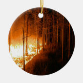 Wildfire Blaze Keramisch Ornament (Voorkant)