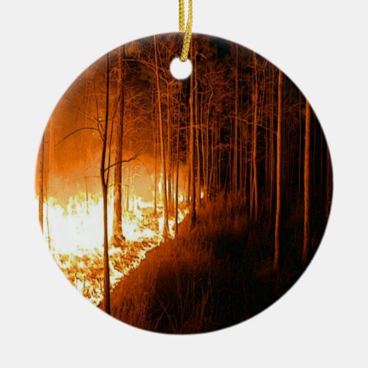 Wildfire Blaze Keramisch Ornament (Voorkant)