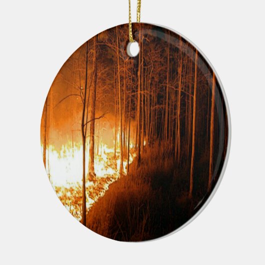 Wildfire Blaze Keramisch Ornament (Links)