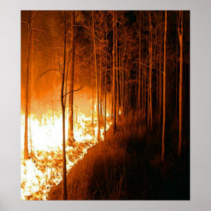 Wildfire Blaze Poster