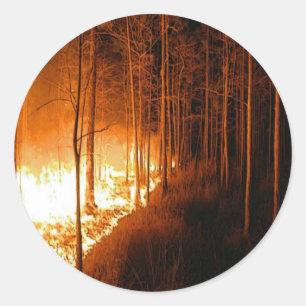 Wildfire Blaze Ronde Sticker