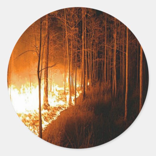 Wildfire Blaze Ronde Sticker (Voorkant)