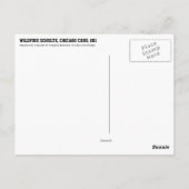 Wildfire Schulte, Chicago Cubs, 1911 Briefkaart (Achterkant)