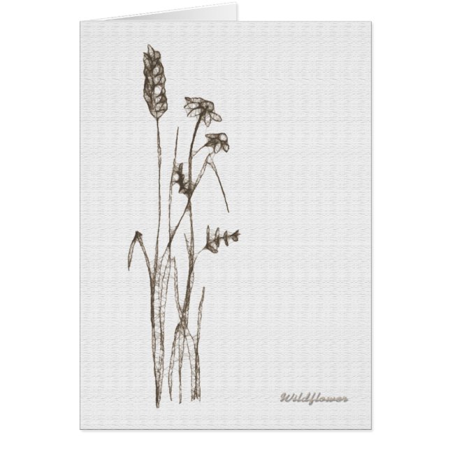 Wildflower (Voorkant)