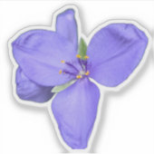 Wildflower Beauty – Nature Photo Sticker (Voorkant)