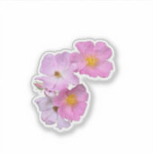 Wildflower Beauty – Nature Photo Sticker (Voorkant)