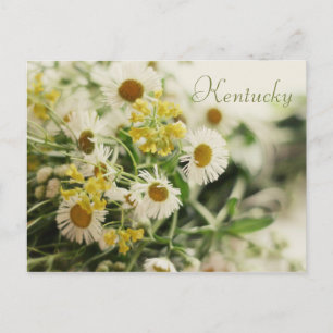 Wildflower Bouquet door JerseyFawn Briefkaart