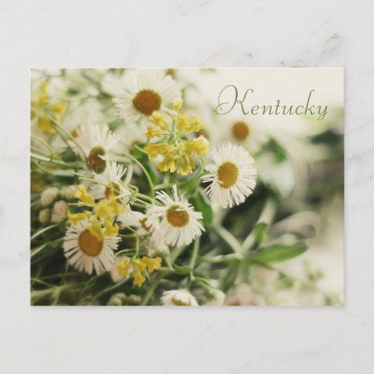 Wildflower Bouquet door JerseyFawn Briefkaart (Voorkant)
