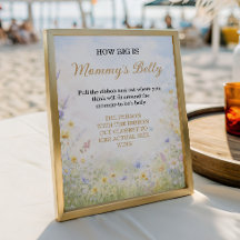 Wildflower Buik Gok Baby in Bloom Spel