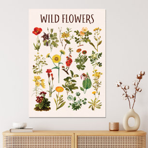 Wildflower Chart Canvas Afdruk