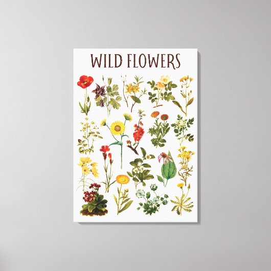 Wildflower Chart Canvas Afdruk (Voorkant)