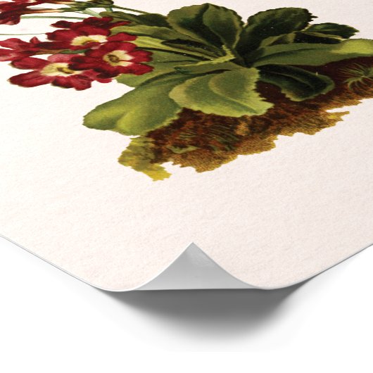  Wildflower Chart Wall Art Poster (Hoek)