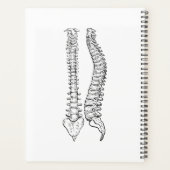 Wildflower Chiropractie, Chiropractor, Wervelkolom Planner (Achterkant)