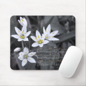 Wildflower Cluster Fotografie 2012 Kalender Muismat (Met muis)