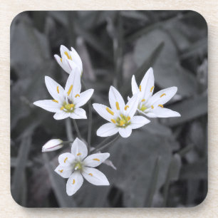 Wildflower Cluster Macro Foto Cork Terug Onderzett Bier Onderzetter
