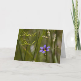 Wildflower dankt u Kaart 6